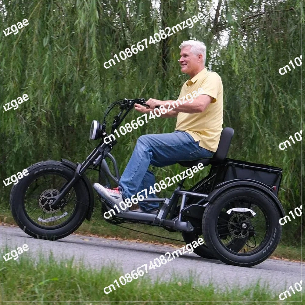 Hot sale High Power Long Range Dual Motor Dual Battery 3 Wheel E Cargo Trike Adults Sand and Snow Fat Tire Electric Delivery Tri