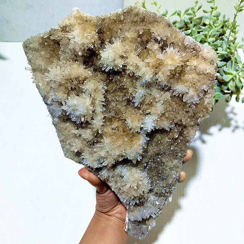Natural Crystal Chrysanthemum stones Meditation Energy Heals The Magical Witchcraft Of The Soul Feng Shui Room Decoration