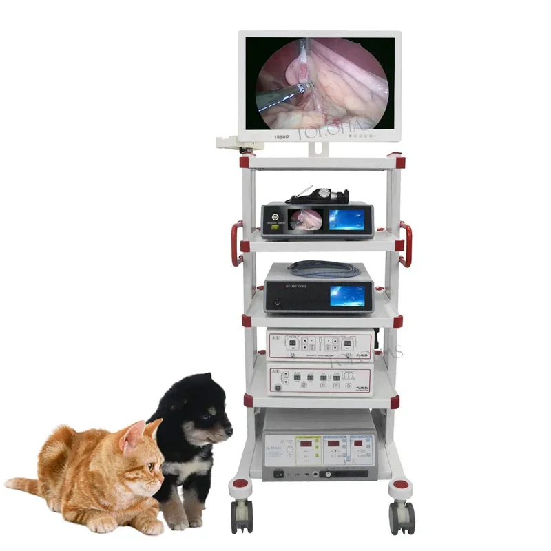 LHWL3 Profession Small Animal Medical Endoscope Set Pet Complete Laparoscopy Set For Veterinary Use