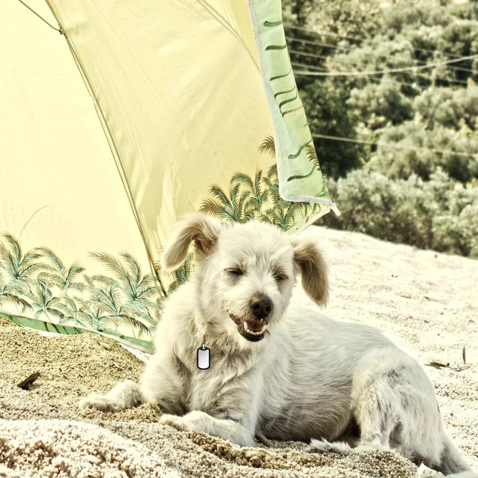 

4Pcs Dog Tag Silencers Round Stretchable Military Dog Id Tags Protector Silicone Edge Bumper Tag Silencers