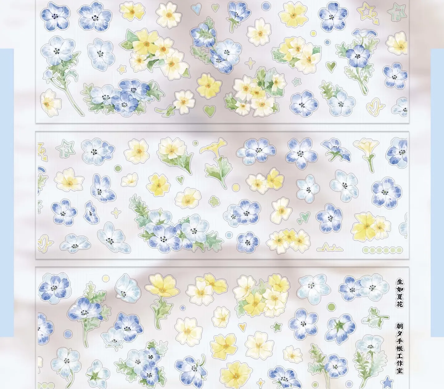 3.25 Washi Pet Tape…