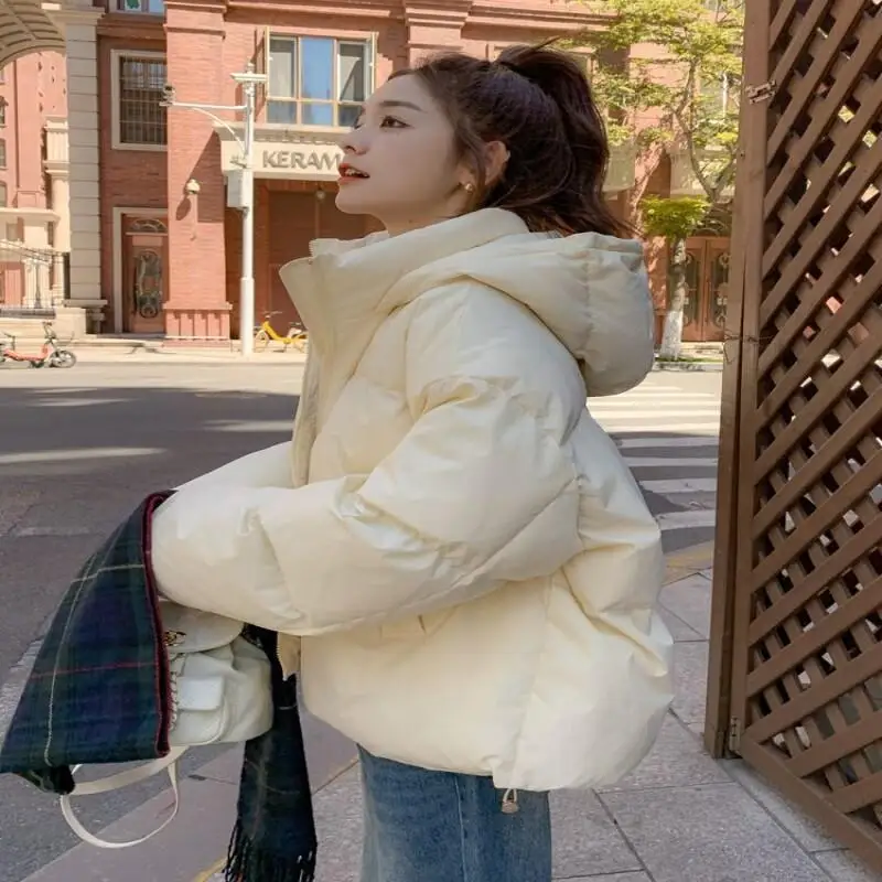 

Women's Padded Jacket Outdoor Daily Wear 2025 New Korean Style Short Winter Jacket For Women Cotton Padded Coat Fashion Design