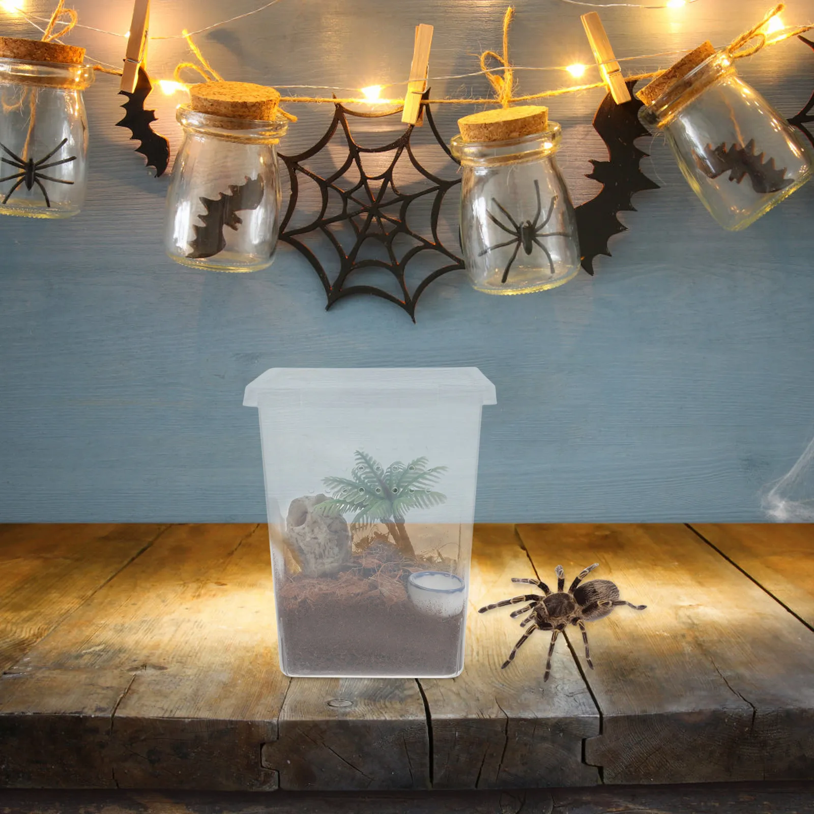 1Set Compact Escape-Proof Spider Box Transparent Plastic Small Terrarium for Jumping Spider Breeding Indoor Observation Habitat