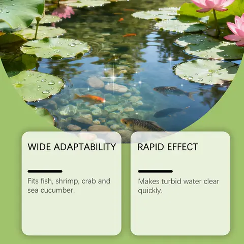 Natural Algae Control Pond Treatments Fish Safe Easy Application, Long-lasting Clear Results. Sparkling Water Reflection
