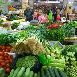 High Imitation Fake Artificial Green Vegetable Plastic Fake Simulated Artificial Green Vegetable Model Ornaments Decorate Model