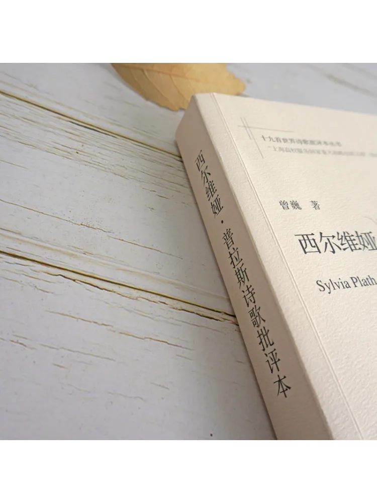 Book-Winshare Sylvia Plath's Poetry Criticism Book