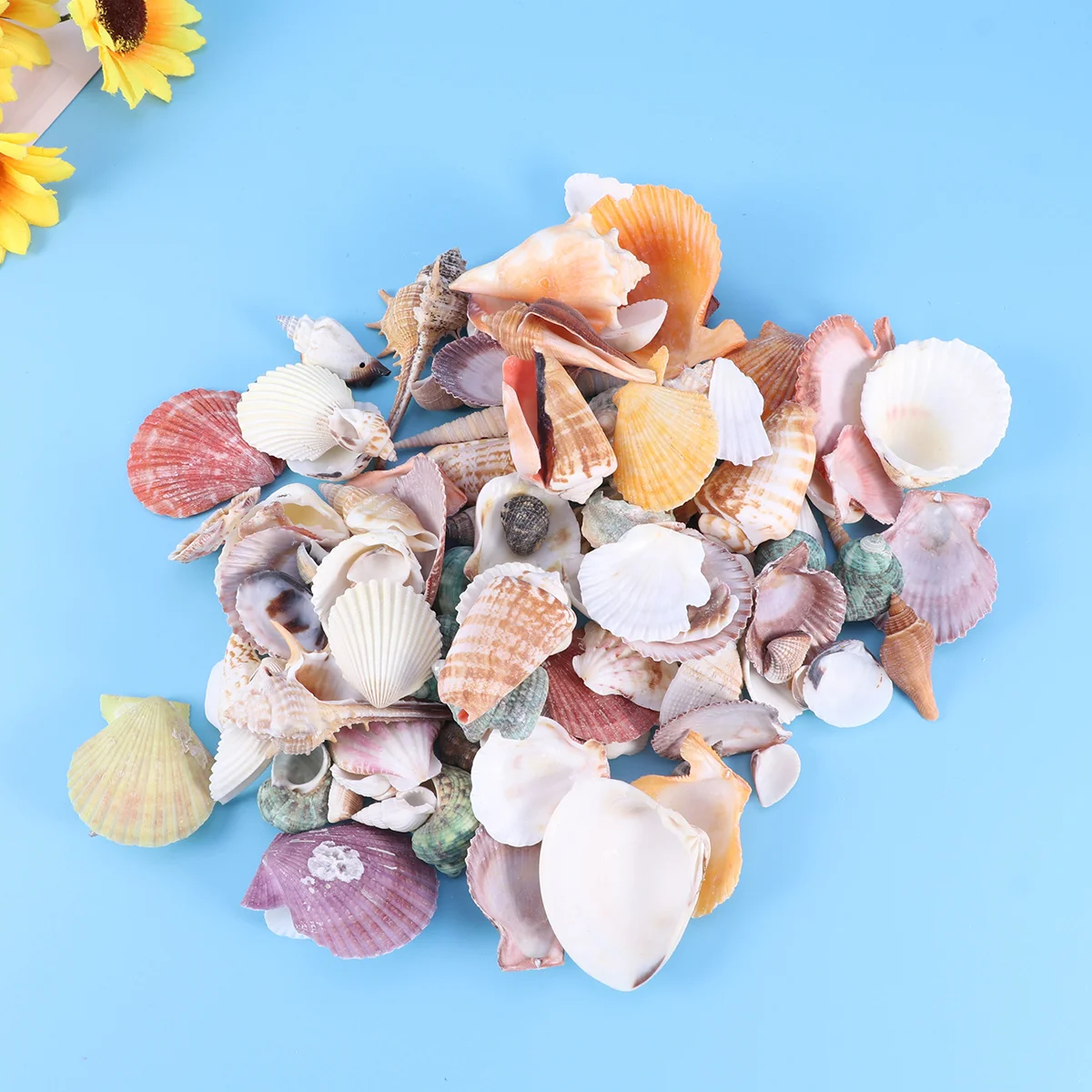 

130Pcs Marine Wind Ornaments Mixed Small White Shell Decorations Natural Shells for Nautical Wedding Party Fish