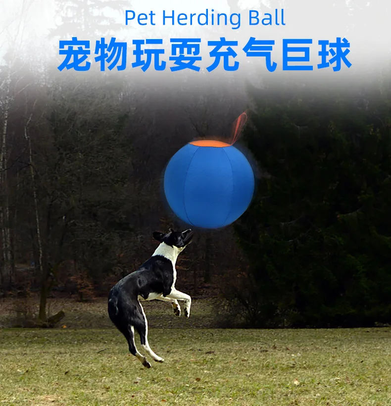 2024 Large Inflatable Toy Ball Big Dog Self-Hi Training Side Shepherd Golden Retriever Satsuma Alaskan Shiba Inu Corgi