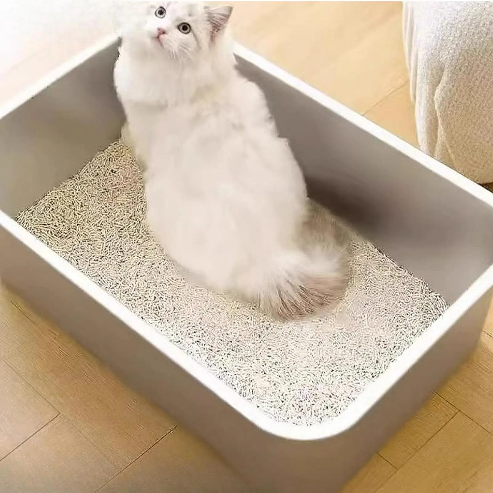 Stainless Steel Cat Litter Box with High Sided Portable Kitten Litter Pan Cat Toilet Sand Box Container for Rabbits Litter Pan
