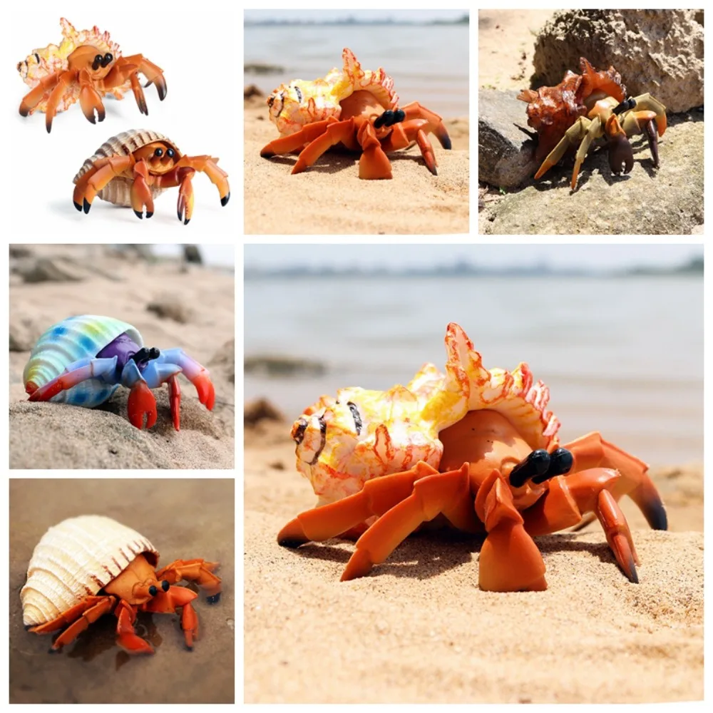 

Realistic Animal Model Hermit Crab Figurines Model Sea Life Toys Plastic Hermit Crab Marine Plastic Toys Children Toy