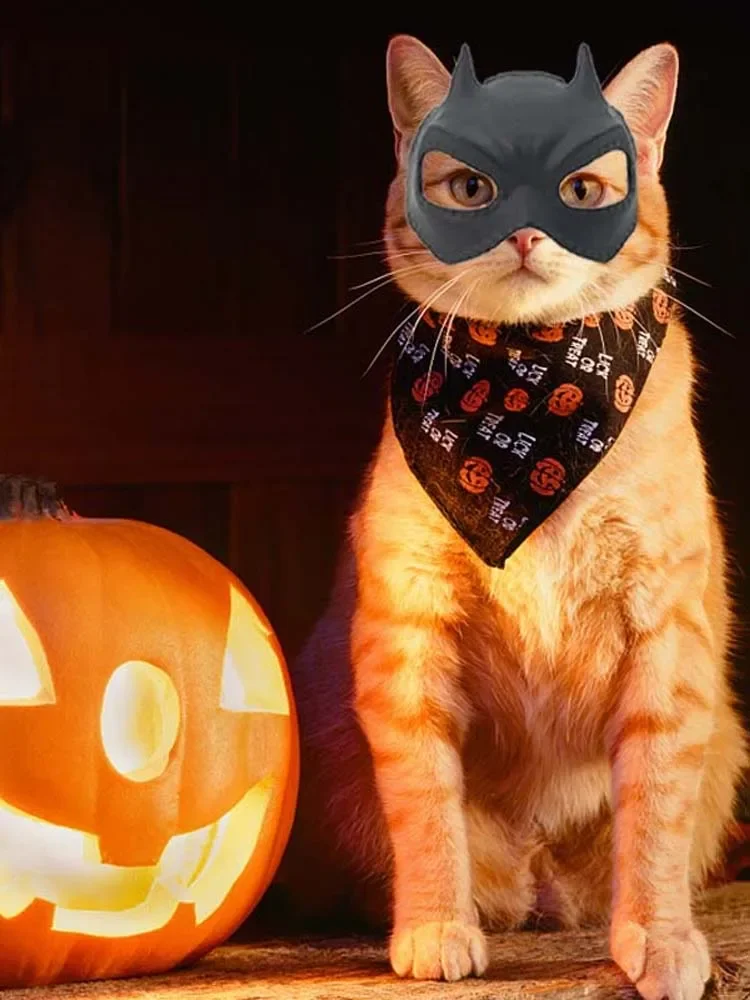 Masque de chat chauve-souris drôle, Costume de Cosplay pour animaux de compagnie pour Halloween, fête de mascarade, noël, nouvel an, cadeau de pâques, accessoires de style héros mignon