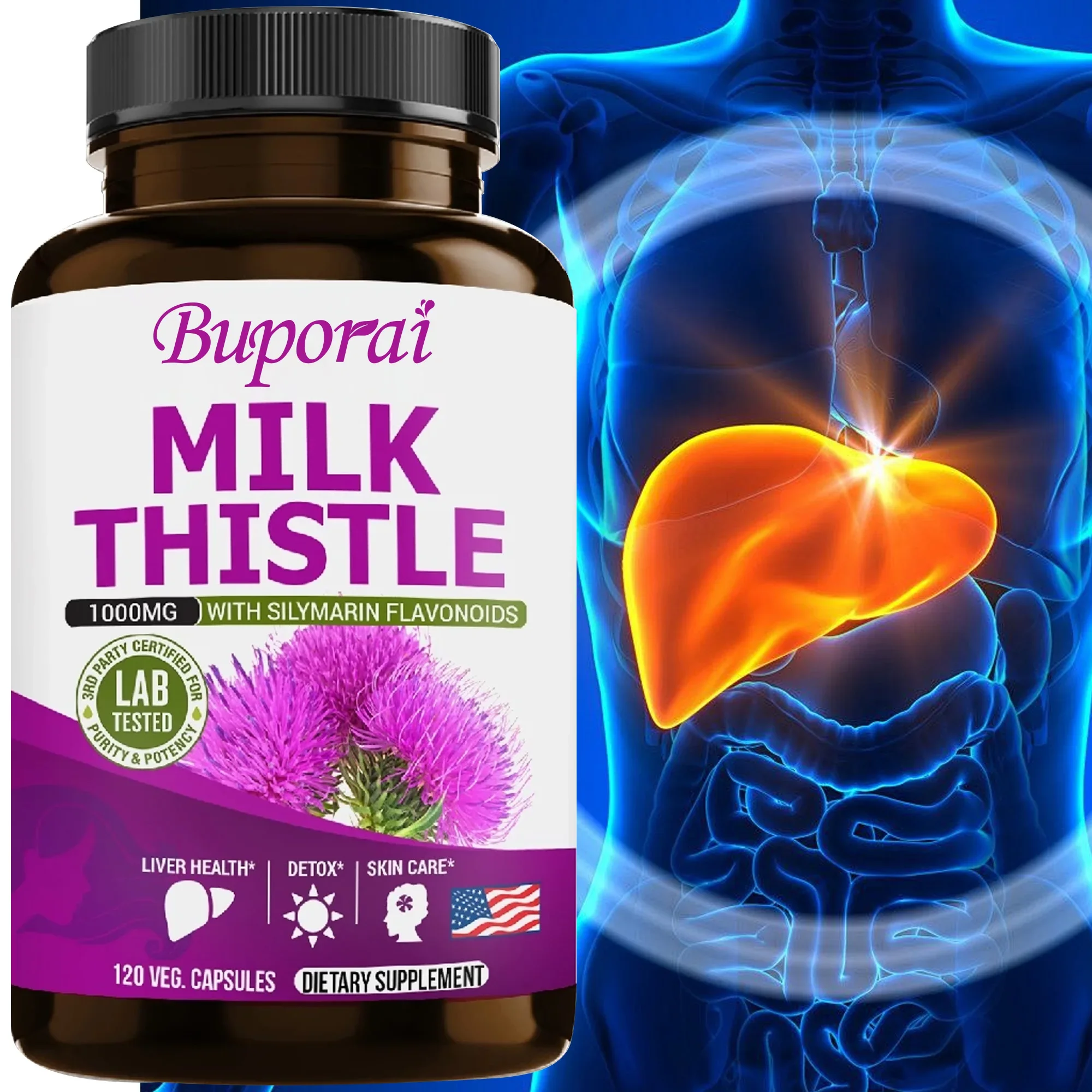 

Milk Thistle Capsules - Beneficial To Liver Health, Diuretic, Swelling Reduction, Lipid Reduction, Liver Cleansing and Repair