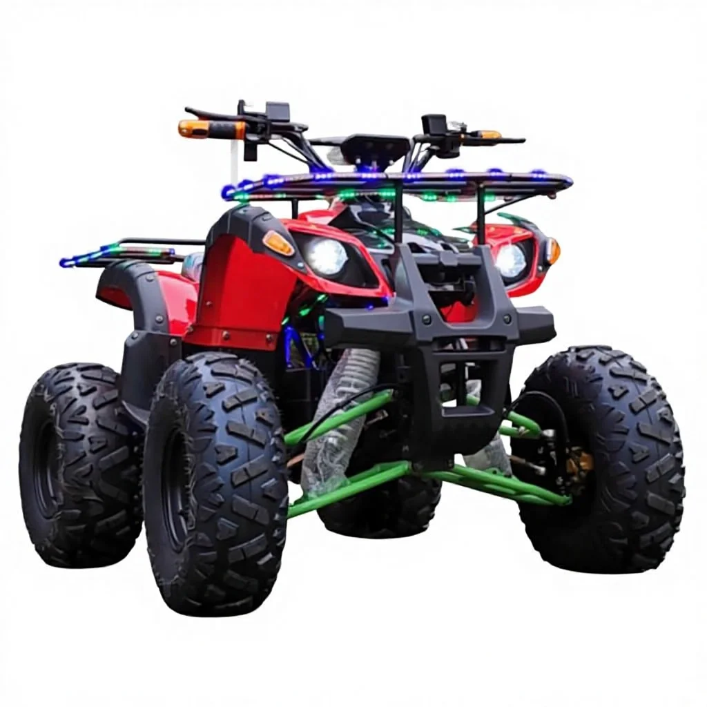 Off-Road Motorcycle Electric Off-Road Snowmobile 60V 1200W Axle Drive ATV