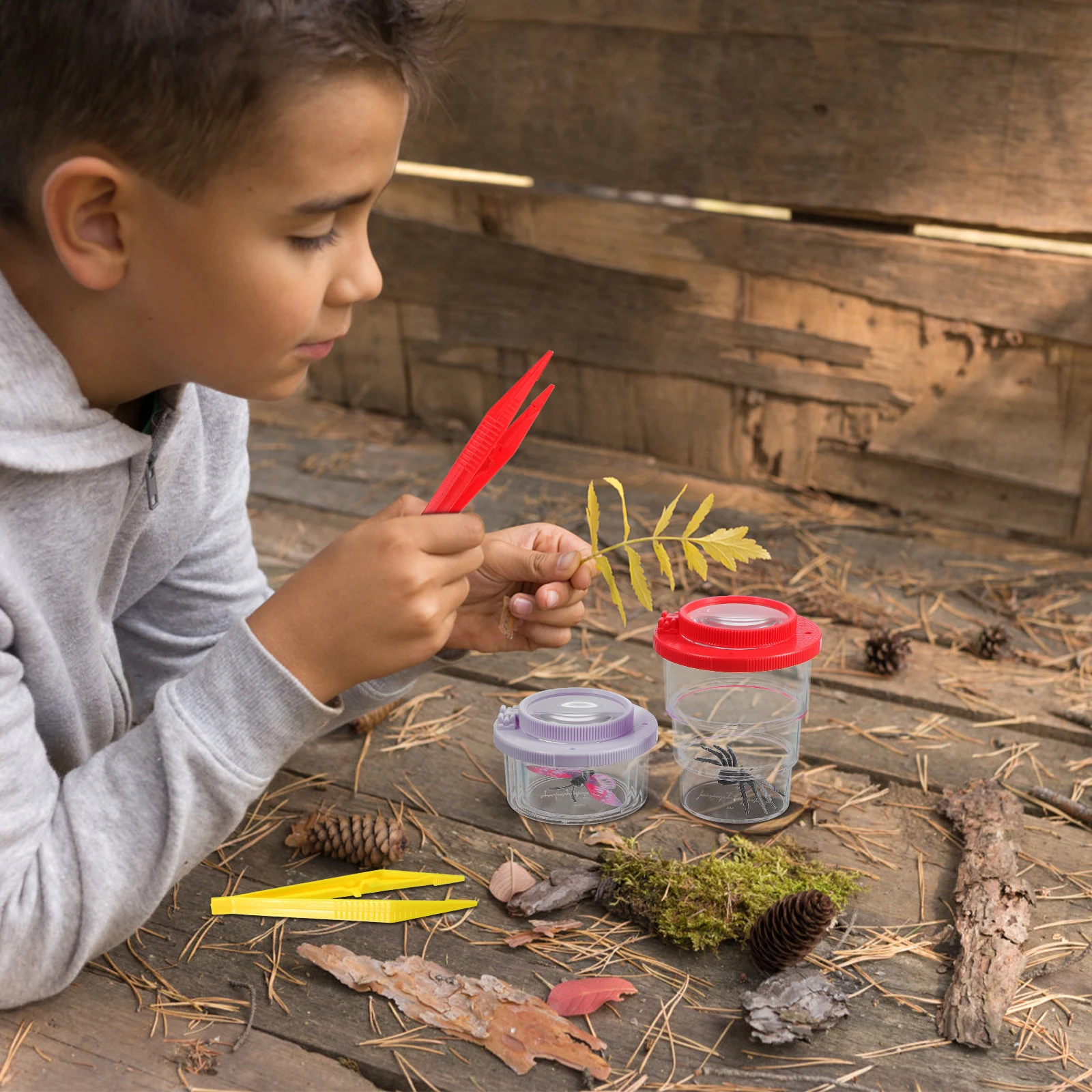 

Box Butterfly Specimen Tools Observation Observer Children's Collector Plastic Containers