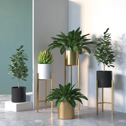 Nordic Minimalist Plant Shelves Golden Floor Flower Pots Indoor Metal Rack Combination With Stand For Flowers Three Colors