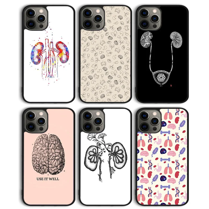 Medical Human Organs Brain Kidney Art Phone Case Cover for iPhone 16 15 SE2020 14 13 11 12 Pro Max mini XS XR X PlusS Coque