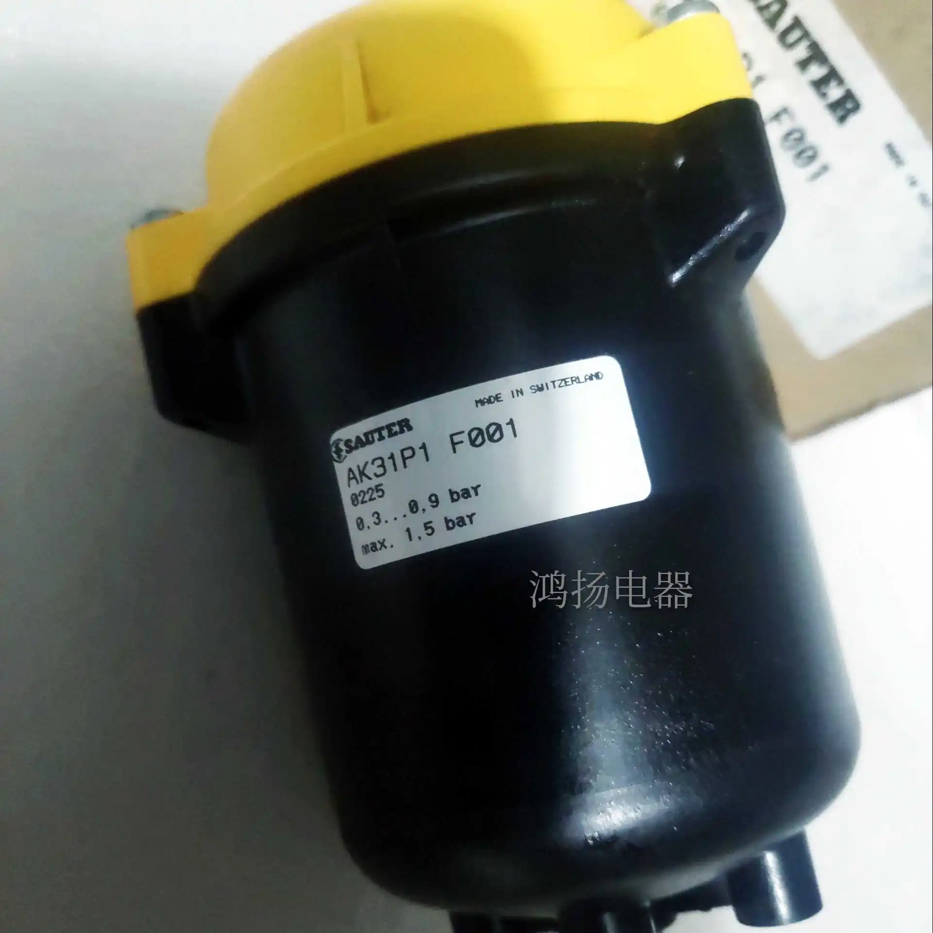 

SAUTER AK31P1 F001