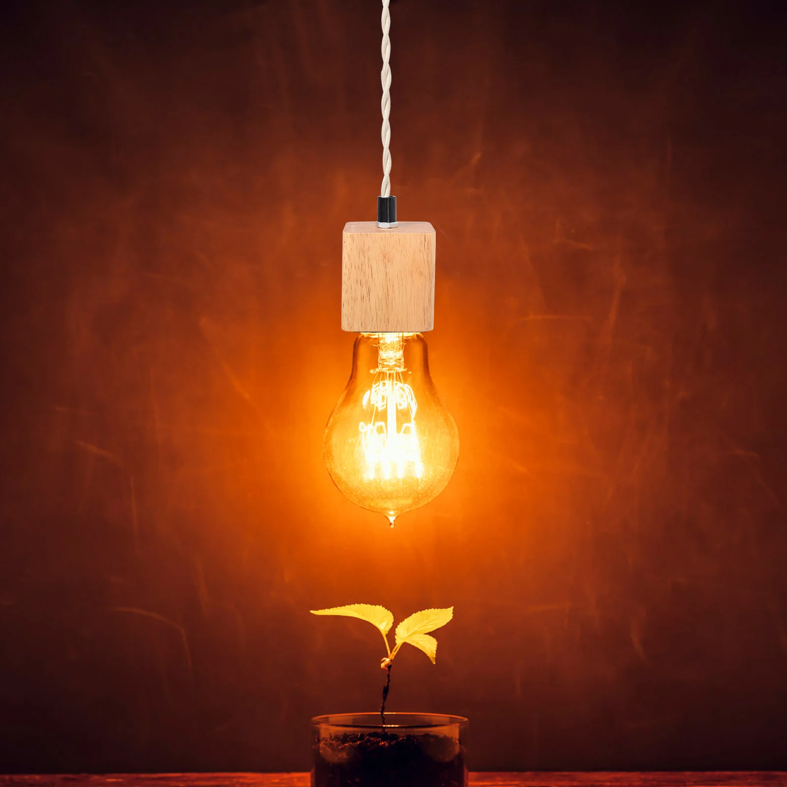 

Solid Wood Lamp Holder E27 Socket Pendant Light Coffee Room DIY Wooden Base Indoor Lighting Accessories Hanging Lamp Decor