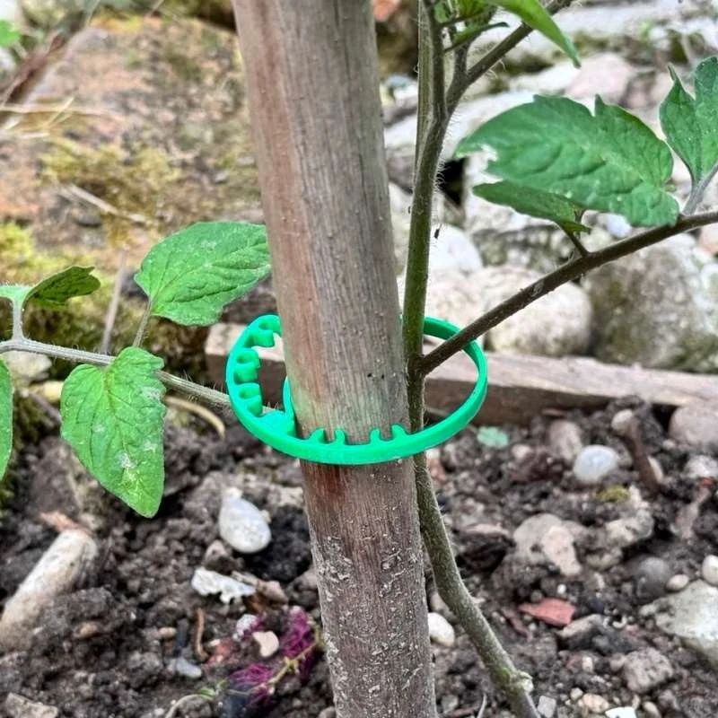 Adjustable Plant Support Clips Garden Plant Ties for Vine Tomato Flower Stem Fixing