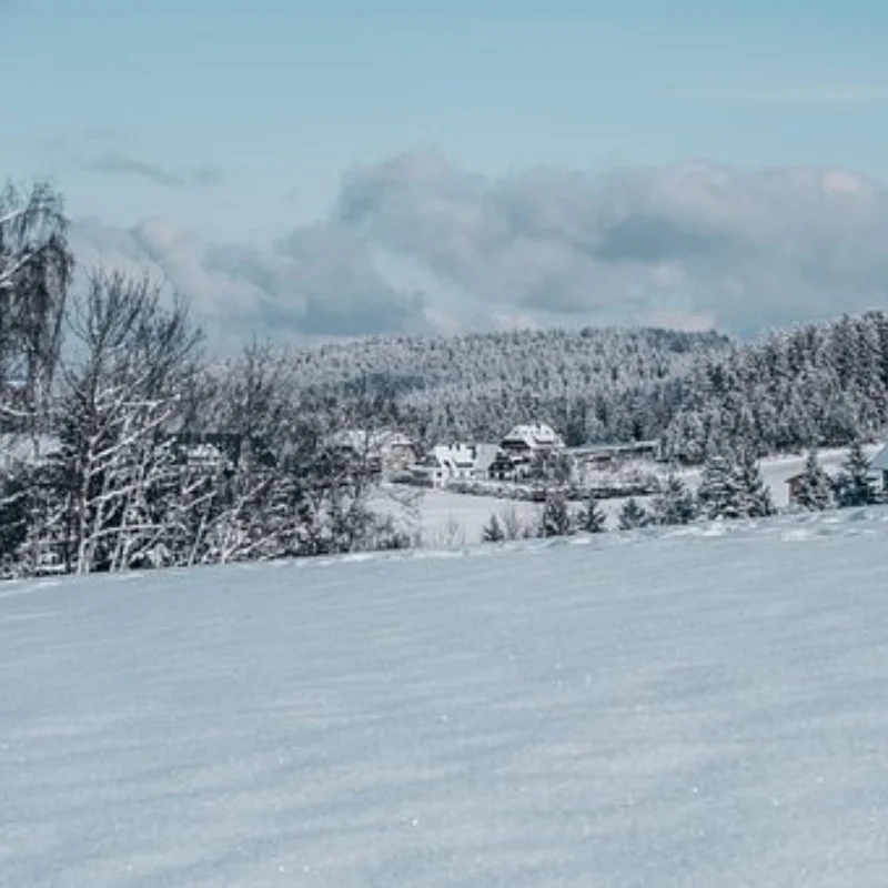 

ARRMA 1/8 KRATON 6S BLX Aluminum Motor Mount ARA106040T1/T2 Quick-Release Dual-Slide Fits 23 Models