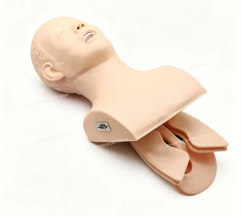Human Body Adult Intubation Manikin – 110-220V Electronic Airway Trainer for Tracheal Intubation Practice