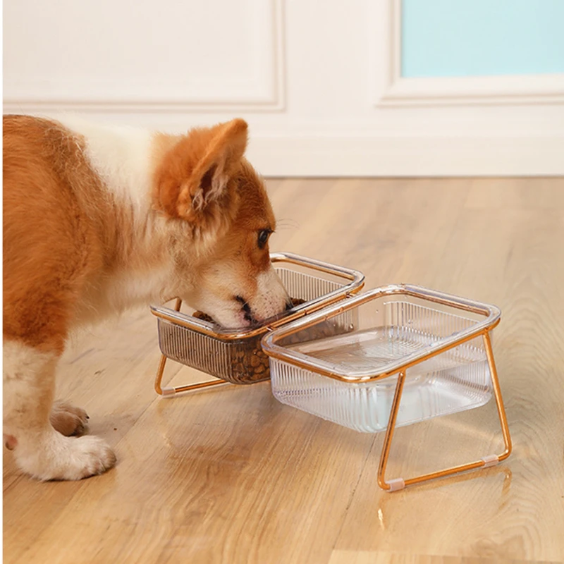 Pet bowl Transparent high foot cat bowl dog bowl Drink water Cat food basin Dog pet easy to clean double bowl