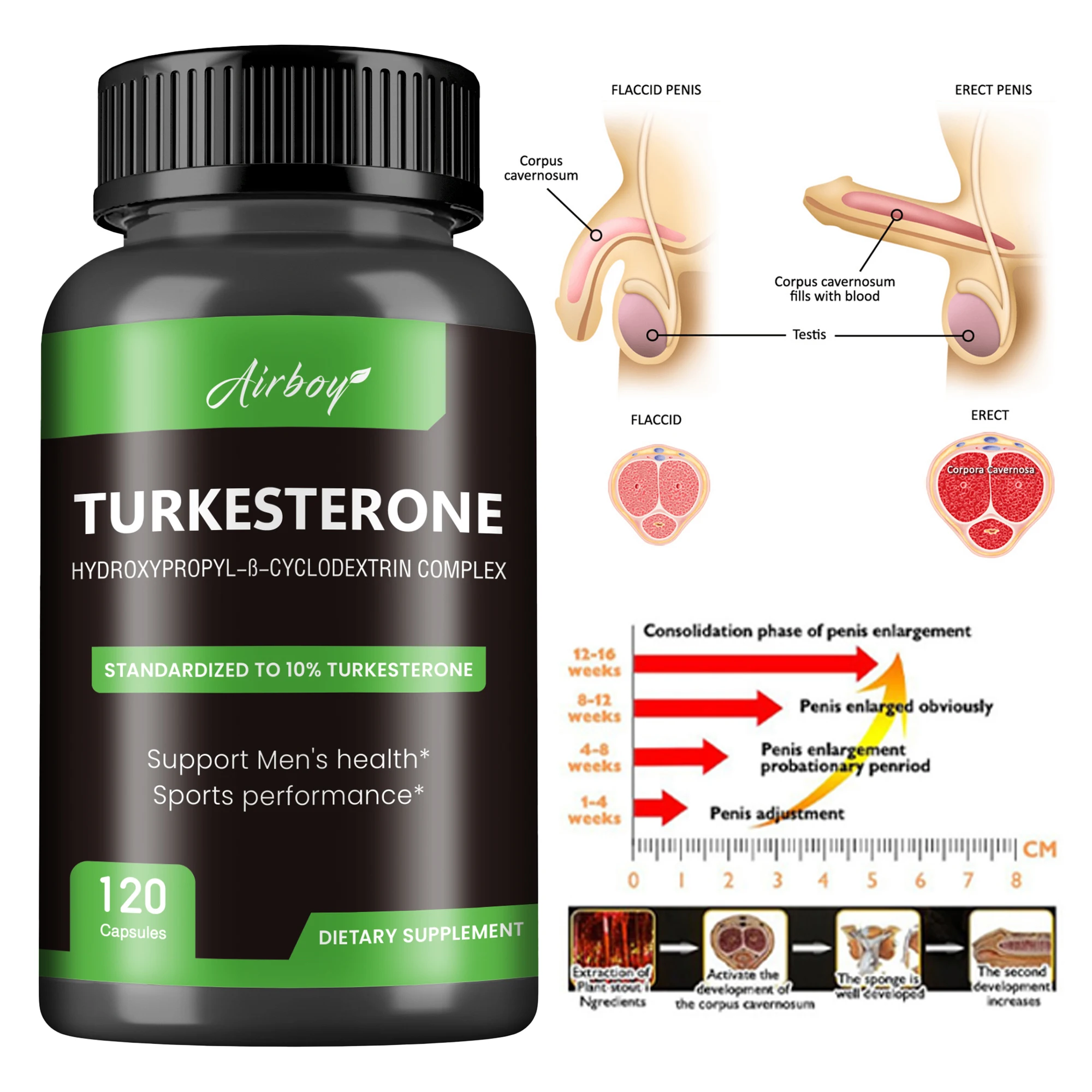 Turkesterone Supplement - Promote Muscle Growth and Recovery, Improve Athletic Performance, Increase Endurance