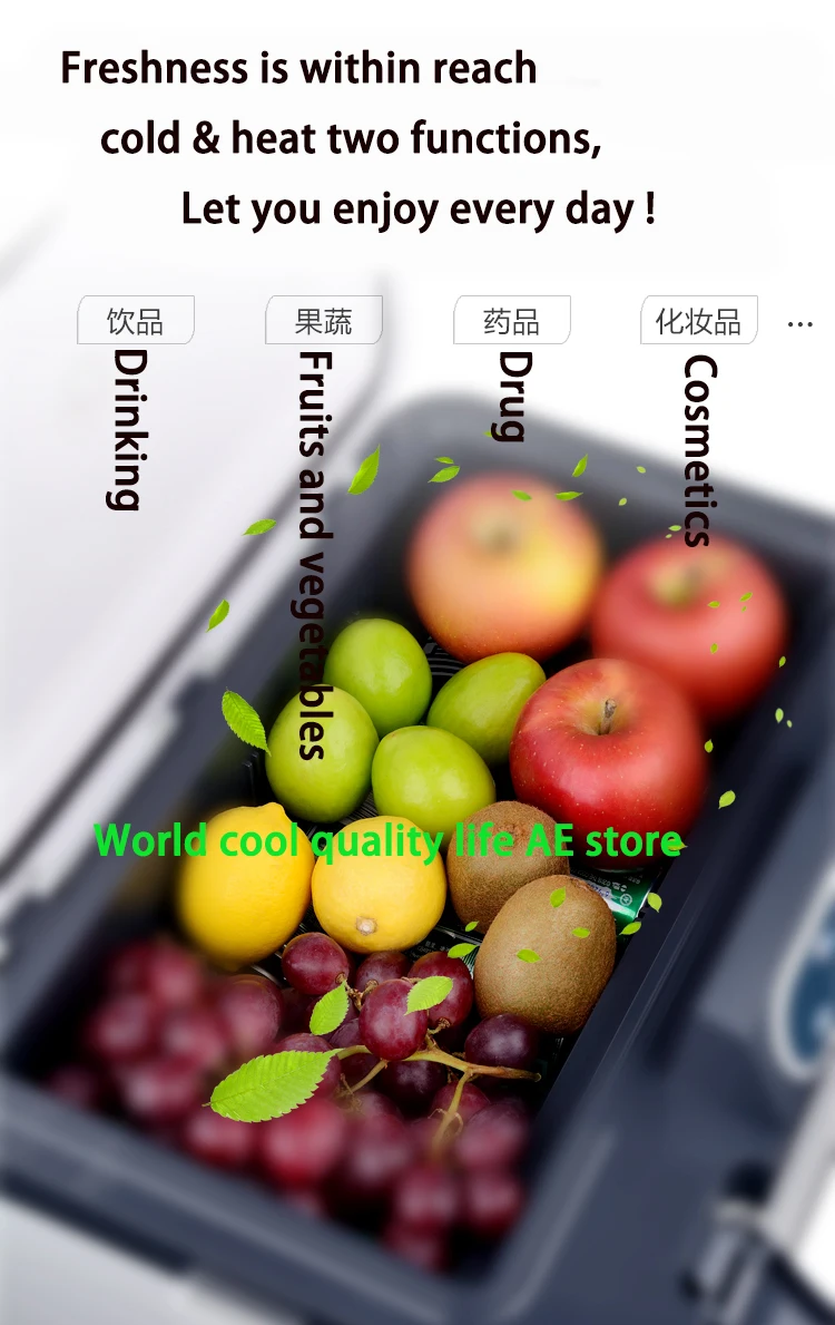 مبرد حراري خارجي RV وفريزر دافئ ، ثلاجة صغيرة محمولة ، مناسبة للتخييم ، والتنزهي ، سيارة ، منزل ، تيار متردد 1 ، العاصمة ، 19 لتر