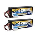 2Unit 2P Plug