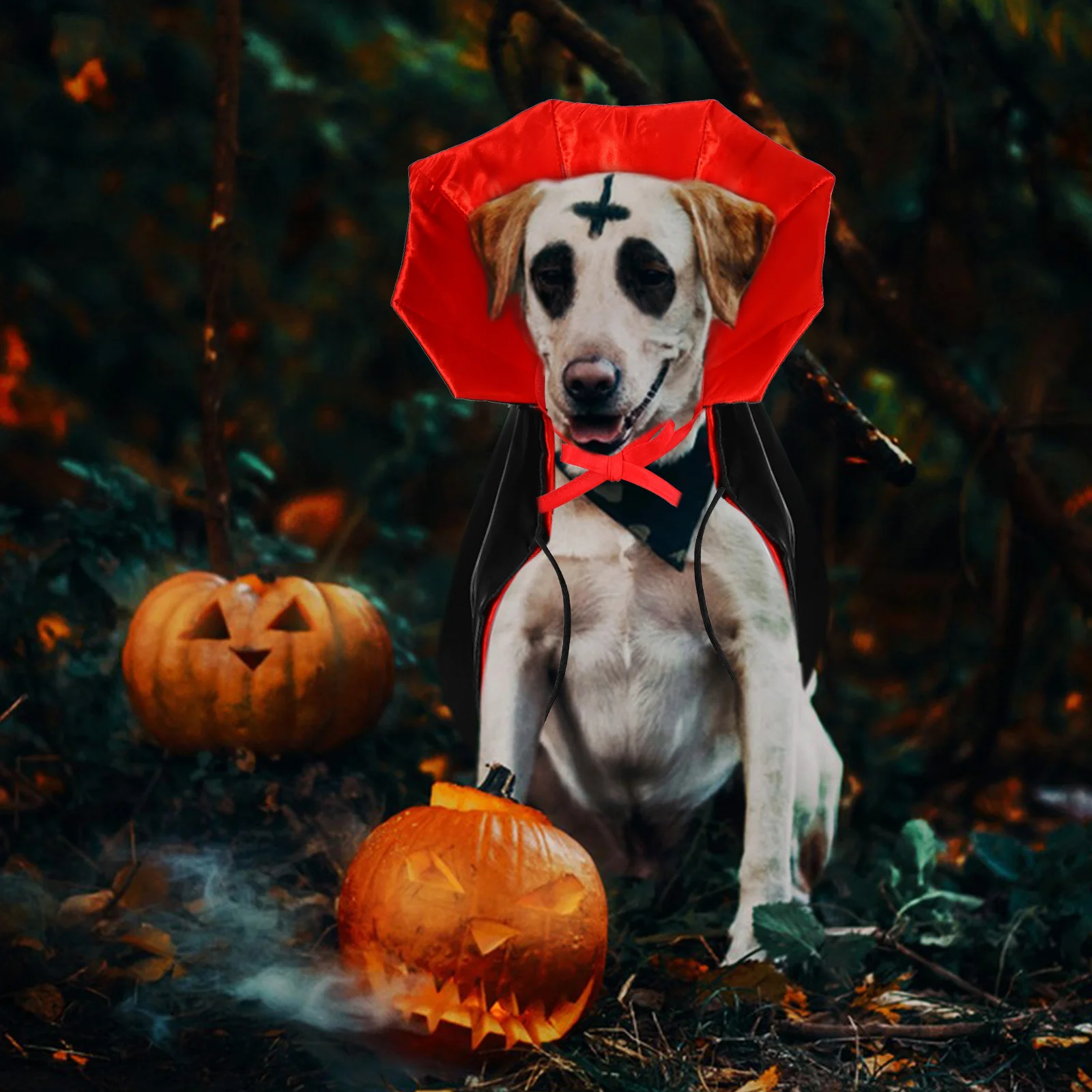 

Festive Medium Dogs Costume With Universal Fit Reusable Pet Cape For Parties - Black Costume Cape Funny Halloween