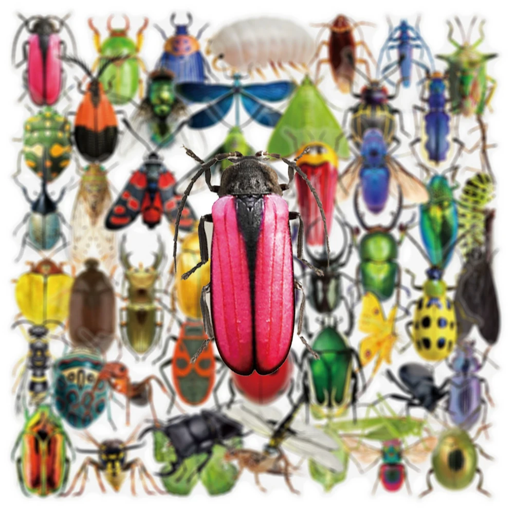 10/30/50 Stuks Cool Transparant Insect Kever Sticker Pack Realistische Dier Graffiti Decals Waterdichte Sticker Diy Notebook bagage