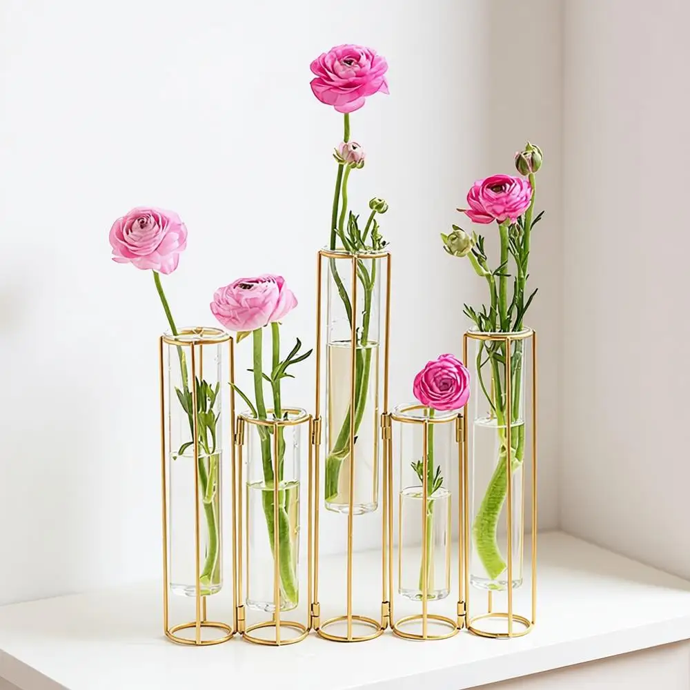 

Test Tube Vase Set, Glass Vase with Metal Stand Racks, Hydroponic Vase Set of 5, Gold Hinged Plant Vases Display Set, Table Cent