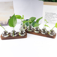 Hydroponic Plants Container Plant Glass Test Tube Terrariums Vase in Wooden Stand Flower Pots Hydroponic Plants Test Tube Vase