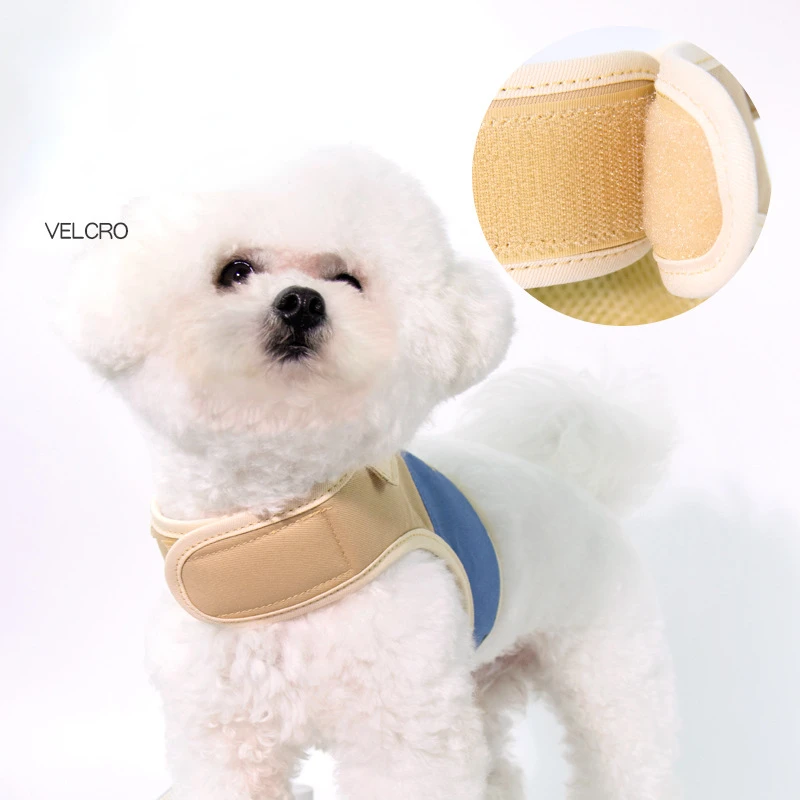 Dog Cute Little Bear Chest Strap Walking Dog Leash Vest Style Teddy Walking Dog Harness and Leash Set Puppy Accessories