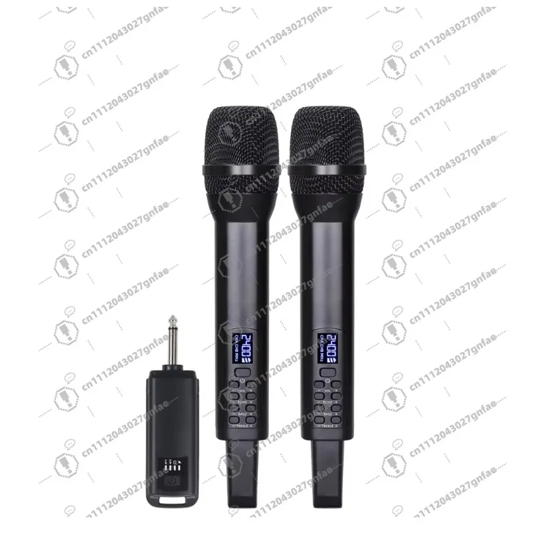 Professional 2.4G Dynamic Microphone Wireless Speaker System Dual Channel Rechargeable Receiver