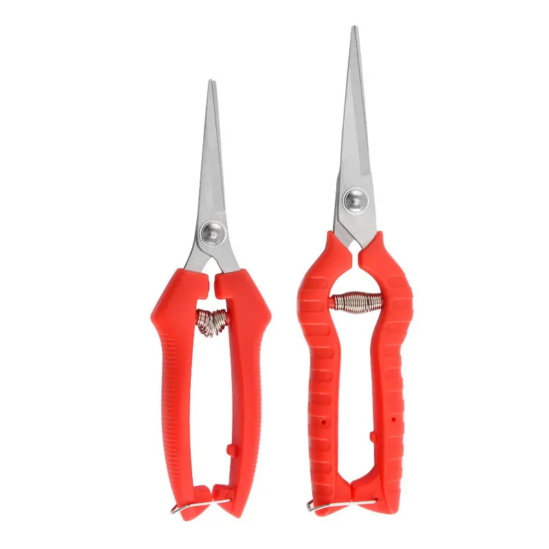 Stainless Steel Garden Pruning Shears for Bonsai Fruit Thinning Grape Orchard Pointed Tips - Gardening Tools for Home & Garden