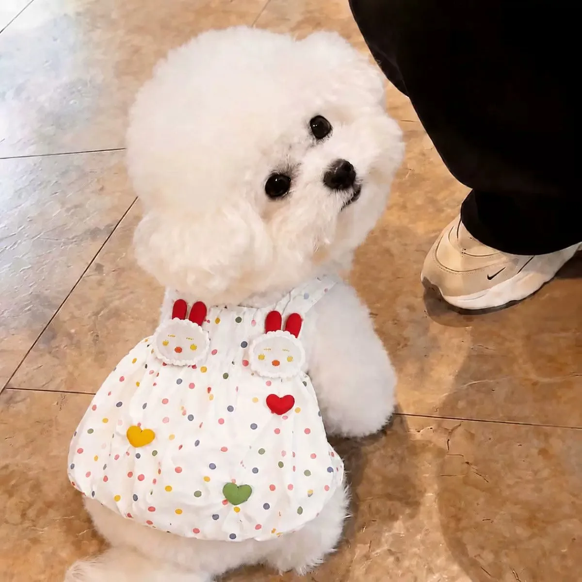 Summer Polka Dot Dog Dress Suspender Vest Cute Rabbit Print Soft Breathable Lightweight Maltese Small Dogs Pet Clothes Hot New view 2