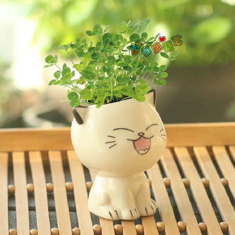 Ceramic Flowerpot Mini Cat Shaped Cartoon Cute Potted Plant Desktop Potted Expression Cat Plant Pot Desk Decorate Small Ornament