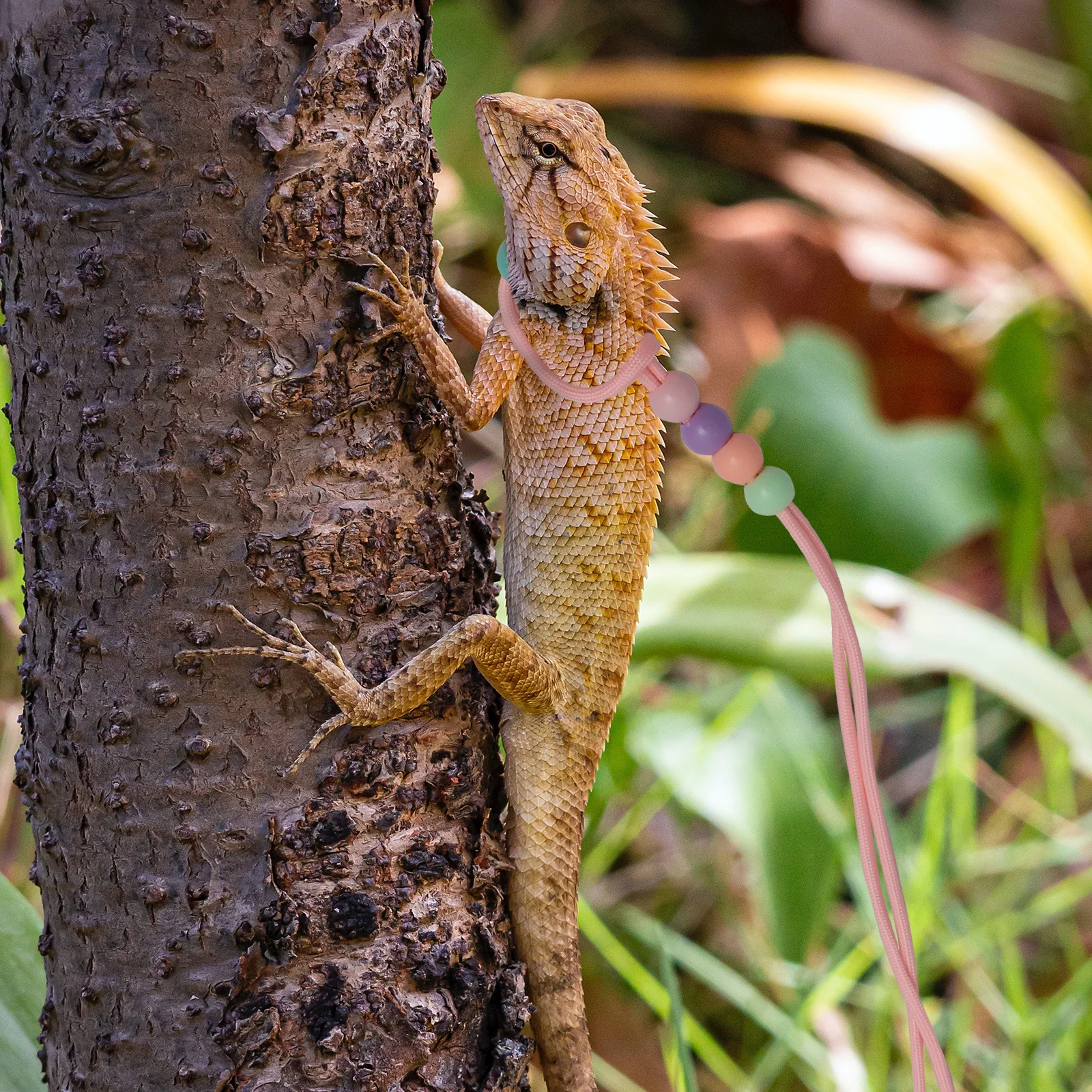 

1Pcs Night Glow Lizard Traction Rope Adjustable Reptiles Harness Training Leash Outdoor Small Pet Pulling Strap