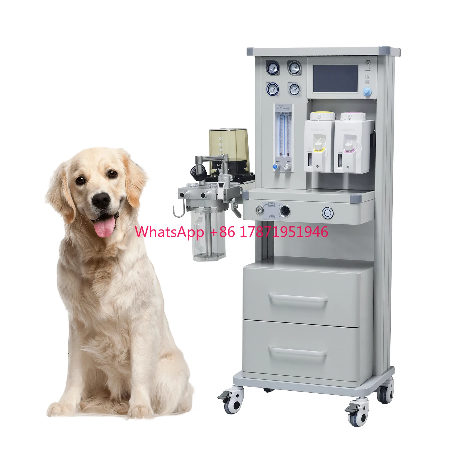 Animal Use Veterinary numbness Work Station with Two Vaporizer