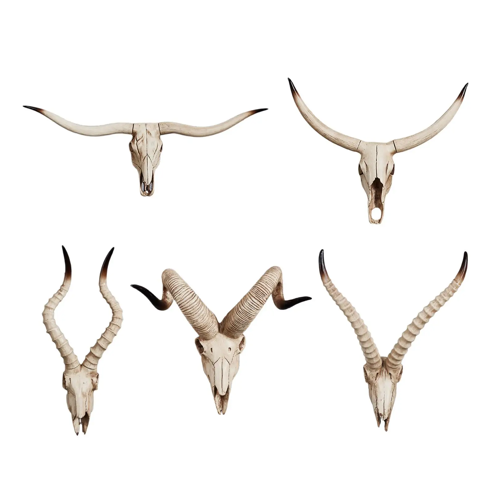 Head Vivid Skull Decor Wall Decor Skull Sheep Head Wall Sculpture for Wall