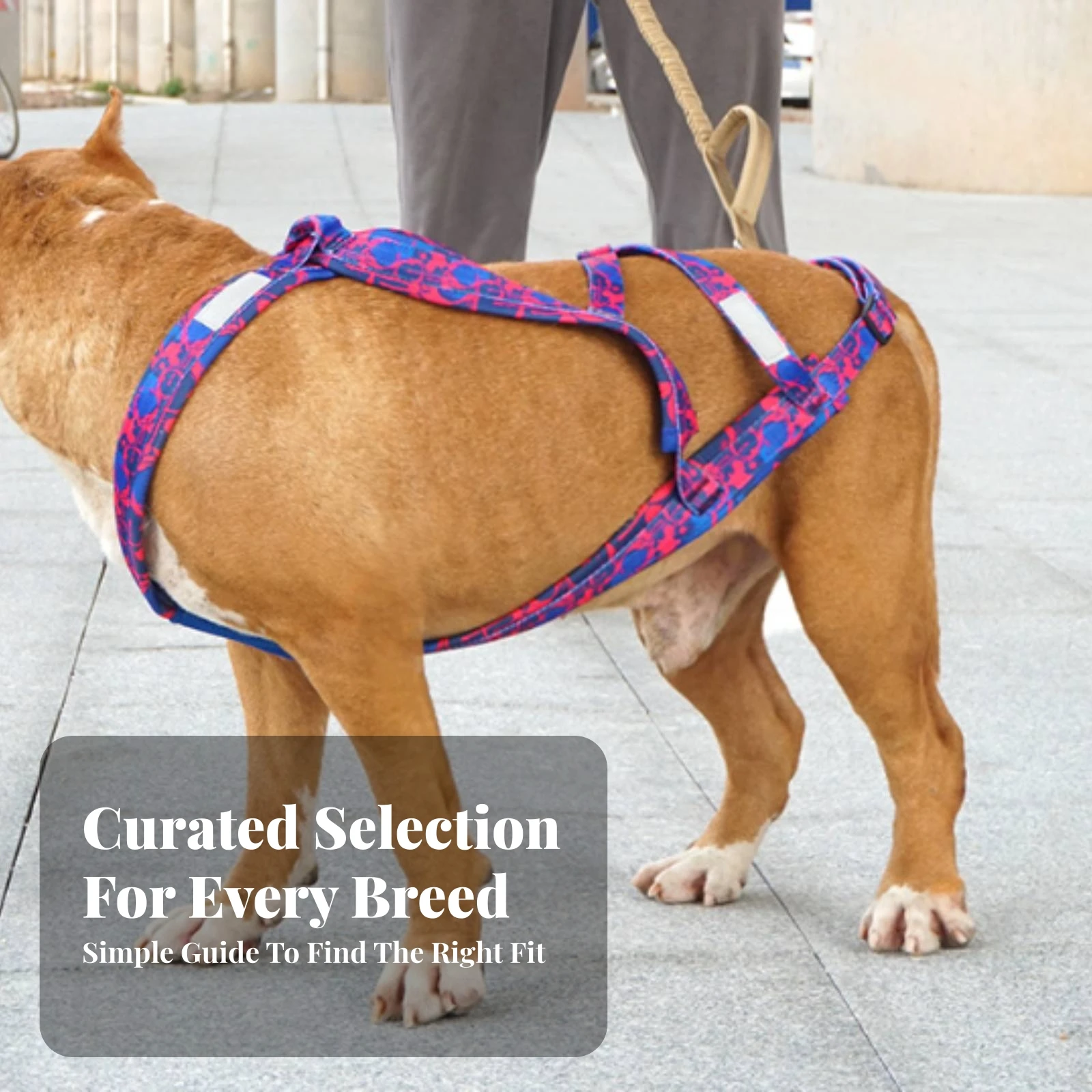 Dog Pulling Harness Comfortable Dog Sled Harness Pet Gear Adjustable Reinforced for Active Dogs, Sledding, Outdoor Exercise