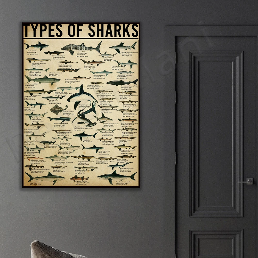 Shark animal vertical poster species shark family shark lover gift shark dictionary marine poster shark knowledge poster