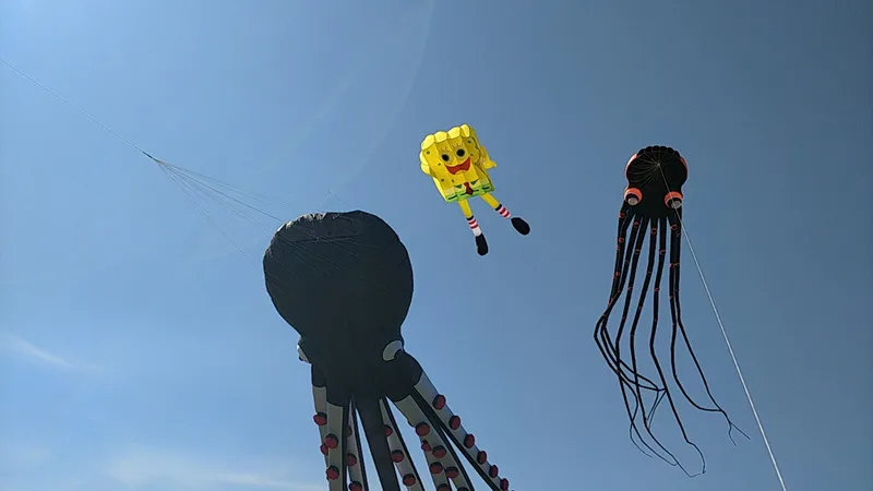 kostenloser versand große pilot kite fliegen anhänger zeigen kite professionelle drachen und strahlen octopus drachen cartoon kite aufblasbare spiele