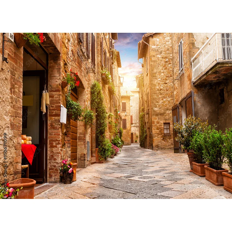 خلفيات تصوير فوتوغرافي اوروبية عتيقة من نيتري ، مستلزمات مشهد ، خلفيات صور زفاف ، خلفية استوديو ، *