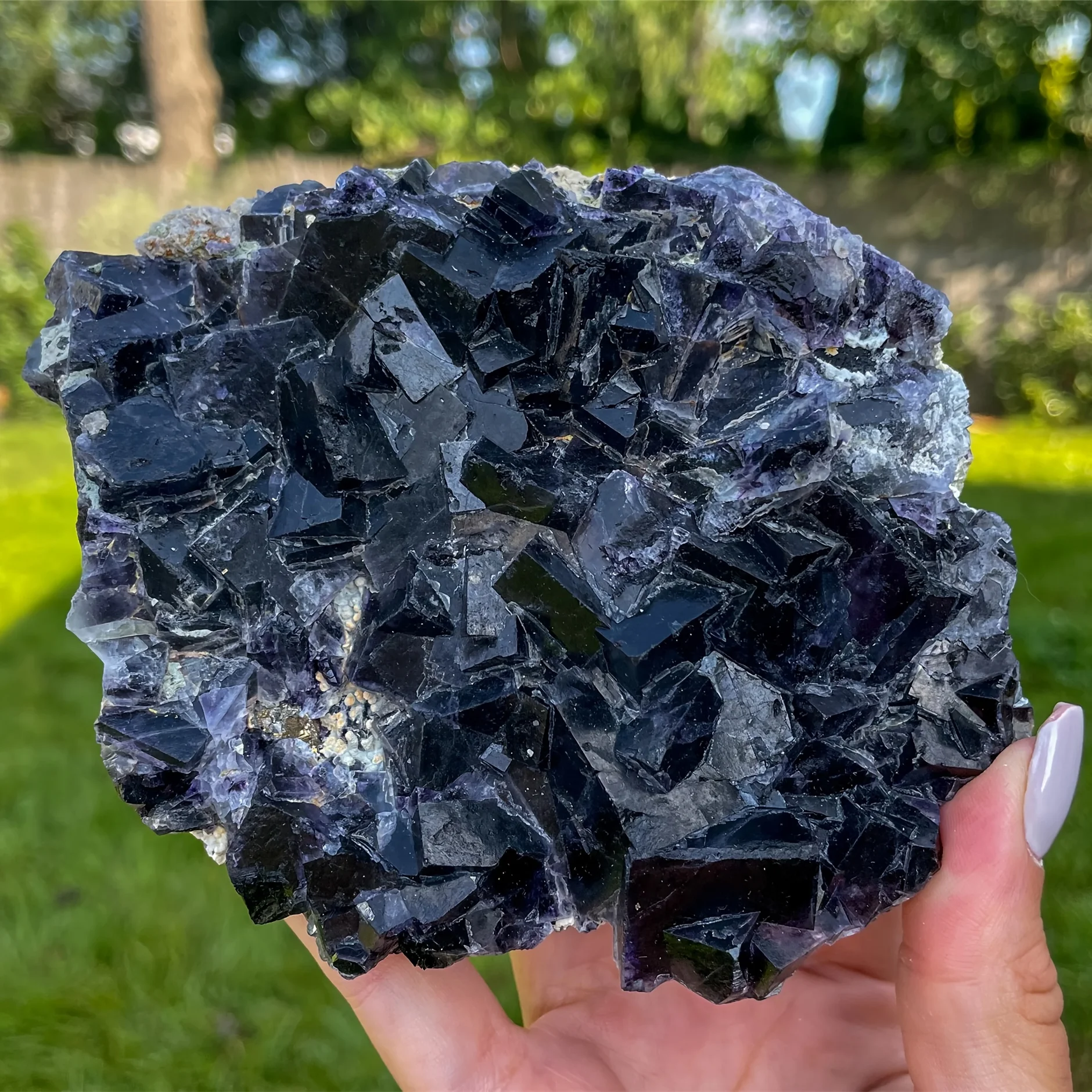 1 pièce de spécimen de fluorite noire naturelle de qualité AAA+ avec réaction à la lumière UV - Couleurs violet foncé, rouge, marron, gris, noir