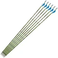 6pcs Blue