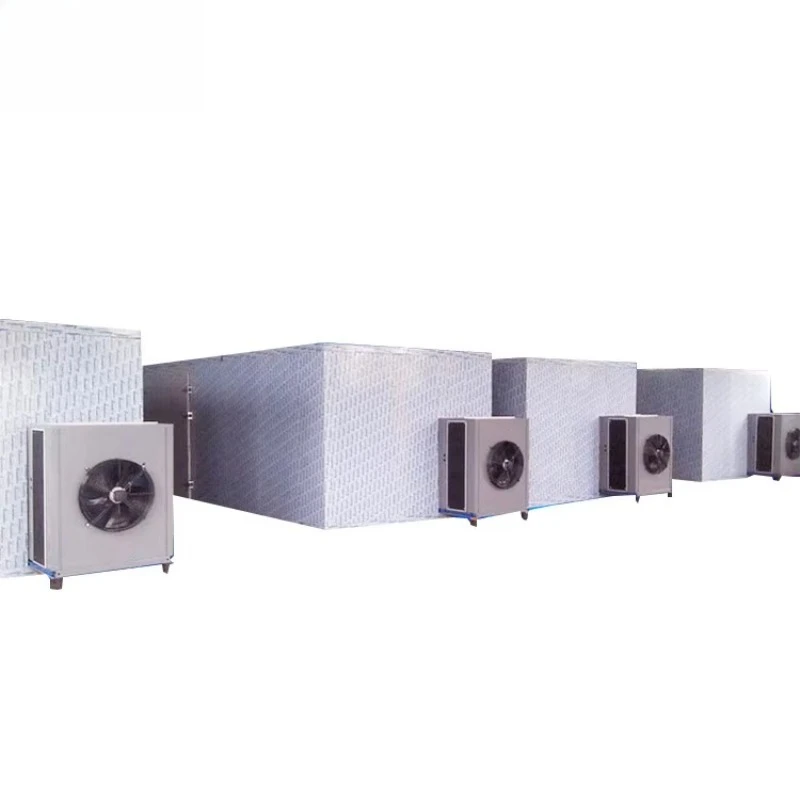 Shrimp Sea Cucumber Drying Dehydrator Machine Commercial High Capacity Seafood Dryer Custom