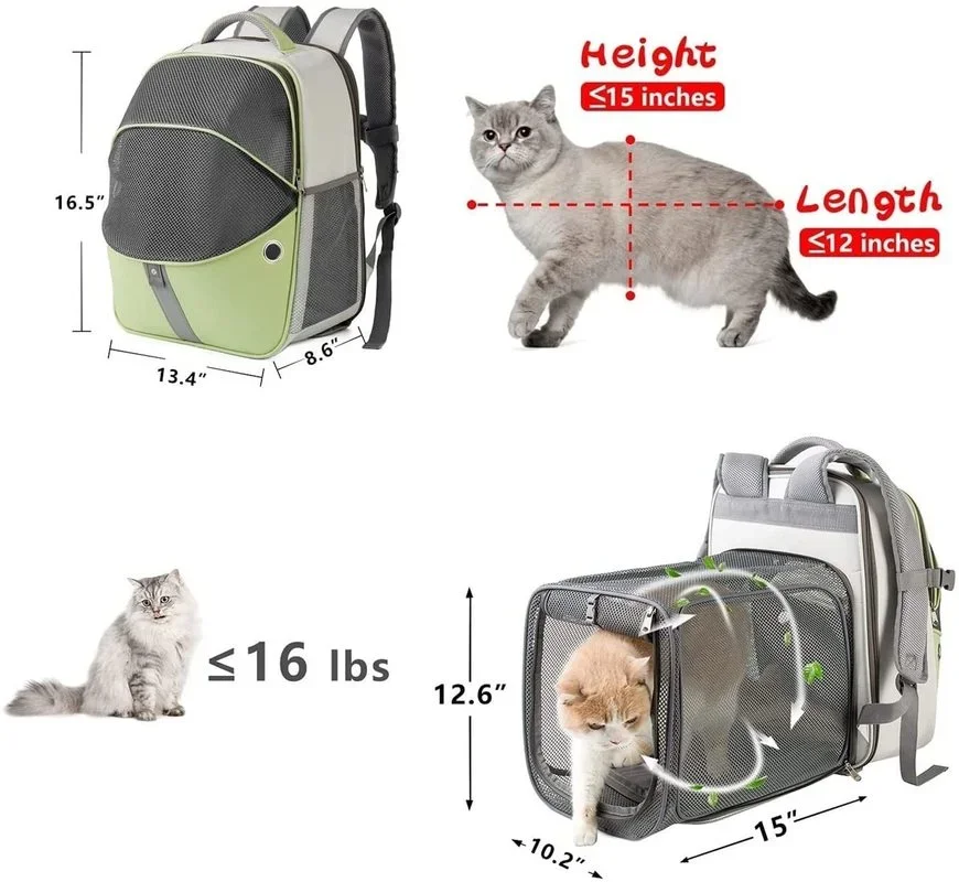 Imagem -04 - Bolsa de Transporte para Animais de Estimação ao ar Livre Portátil Dobrável Gato Cão Respirável Mochila de Viagem para Animais de Estimação Oxford Fabricmesh Viagem Dobrável