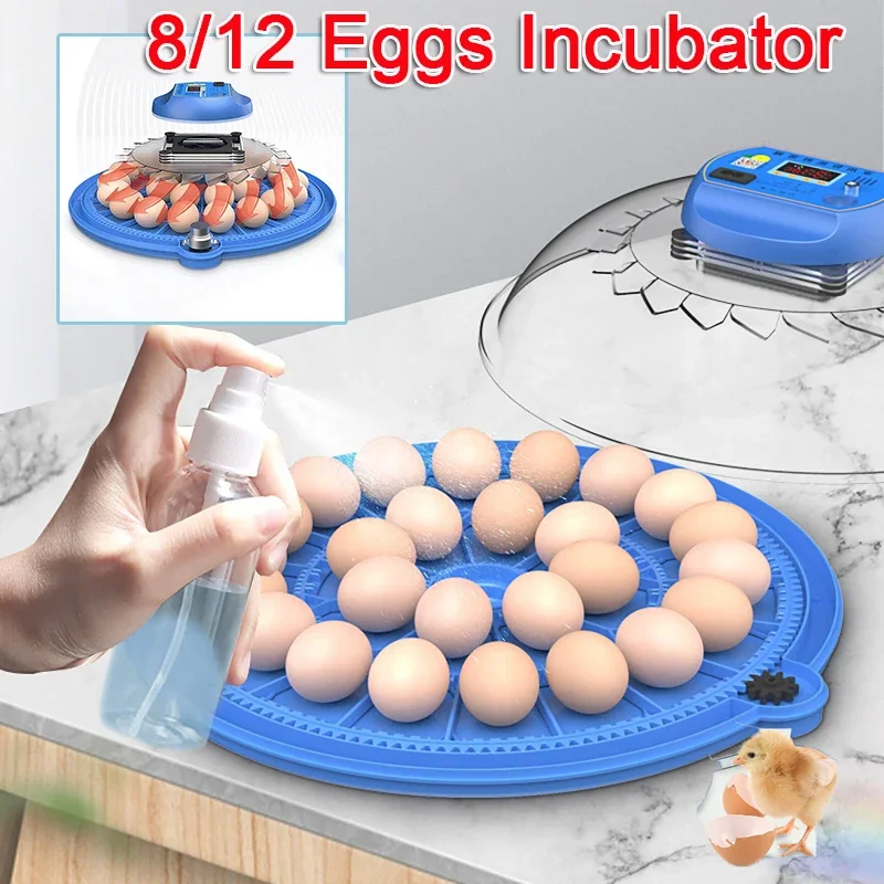 

8 Eggs Fully Automatic Intelligent Daul Electric Incubator Mini Household Chicken Duck Goose Pigeon Peacock Parrot Egg Incubator